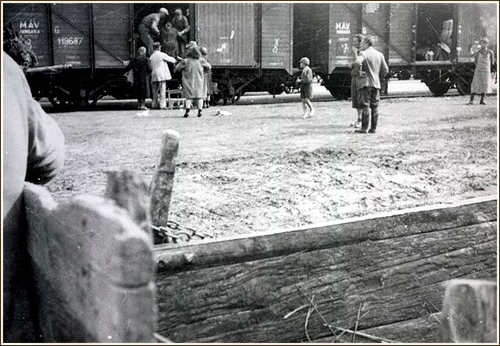 Deportation of the Balatonfüred Jews. The sign on the cattle cars reads: MÁV (Magyar Államvasutak – Hungarian State Railways)  (Photo: Hungarian National Museum)