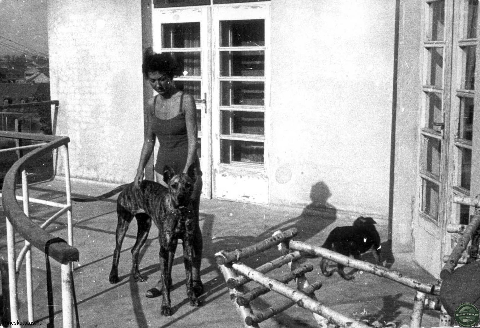 Göth’s mistress on the terrace of the commander’s villa with one of his huge dogs. Ordered by the SS officer, the otherwise friendly animals jumped on the prisoners and mauled them.  (Photo: United States Holocaust Memorial Museum)