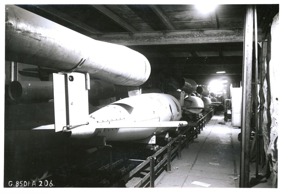 The 300. Transylvanian Jews in Volkswagen's Rocket Factory (IGdJ)